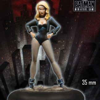 Black Canary (Animated Series)